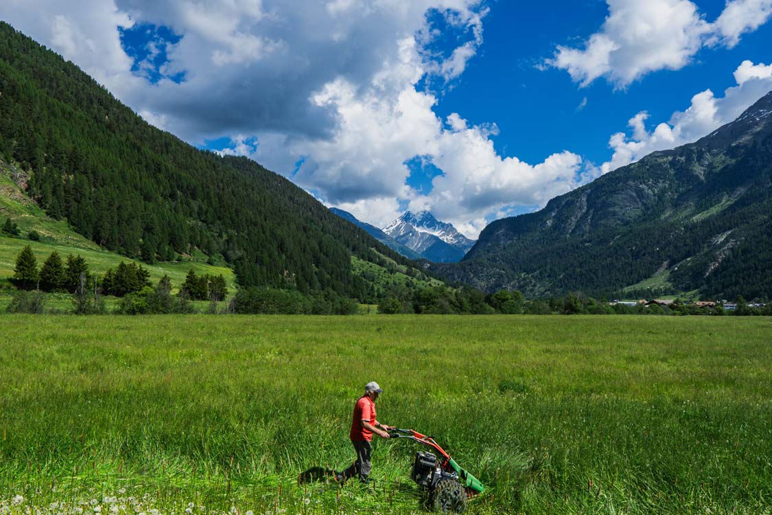 Wiesn im Engadin, Mann mäht Weide